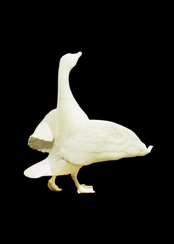 Resin UTR8220 for 3D Printed Animals Model of Goose