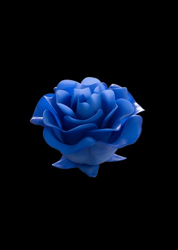 Resin UTR8100 with Dyeing for 3D Printed Design Accessories of Blue Flower
